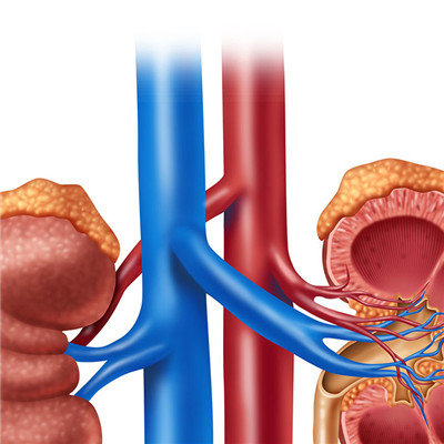 Is nephrosis inchoate have symptom?