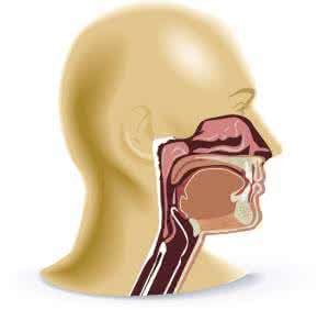 Early symptoms of nasopharyngeal carcinoma