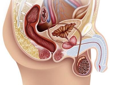 What is the main symptom of prostatic hyperplasia?