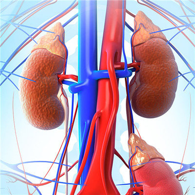 Renal cyst puncture operation bleeding symptoms?
