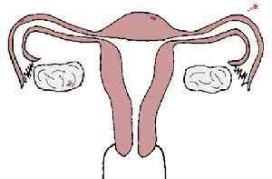 What are the symptoms of uterine varus?