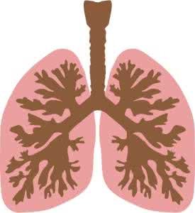 What are the early symptoms of lung cancer